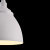 Подвесной светильник Maytoni P534PL-01W Подвесной светильник Maytoni P534PL-01W