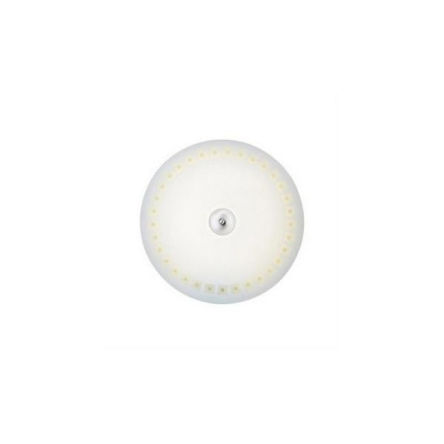 Настенно-потолочный светильник Adria 106411